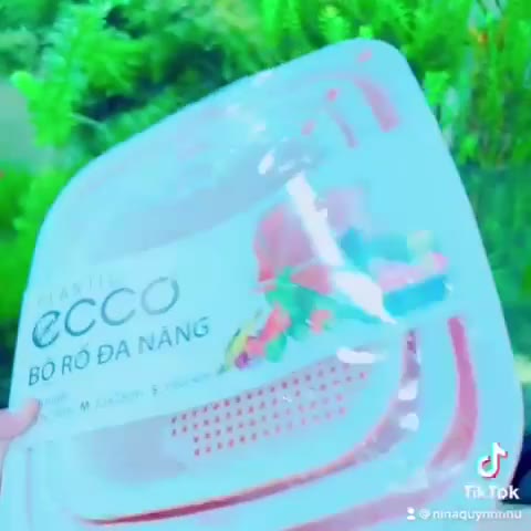 Bộ thau rổ nhựa vuông 6 món ECOCO Bộ rổ nhựa Việt Nhật dày đẹp [Giao Màu Ngẫu Nhiên] | BigBuy360 - bigbuy360.vn