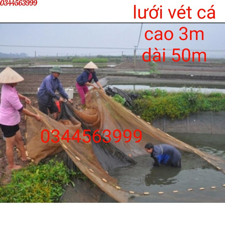 Lưới Vét Cá - Kéo - Quét Dài 50m cao 3m