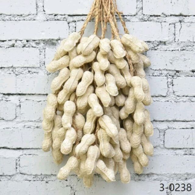 Dây nông sản đậu phộng( lạc)