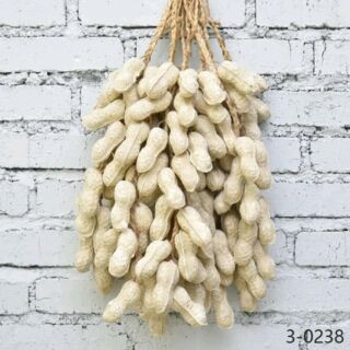 Dây nông sản đậu phộng
