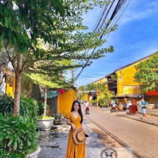 Đầm vàng midi cột nơ ngực ( ảnh thật )