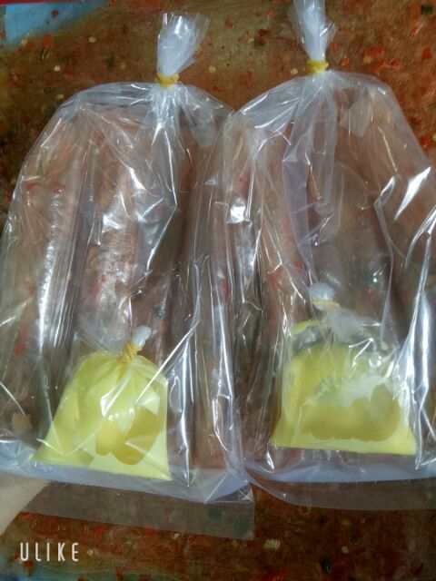 Bánh tráng dẻo cay cuộn hành phi