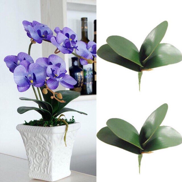 Cụm Lá Lan Hồ Điệp Cao Su 5 Lá Có Rễ-Lá Giả, Gốc Lan Giả