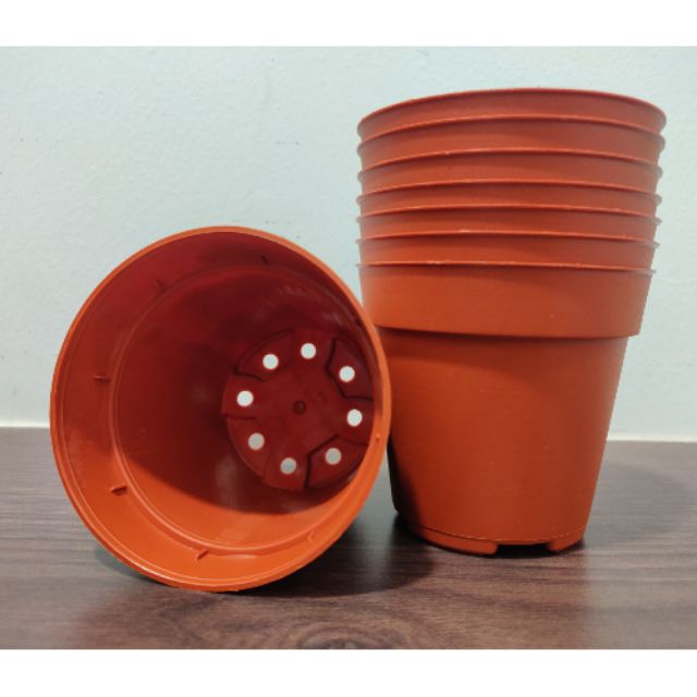 Set 5 Chậu Trồng Sen Đá Mini Cao Cấp Bền Đẹp