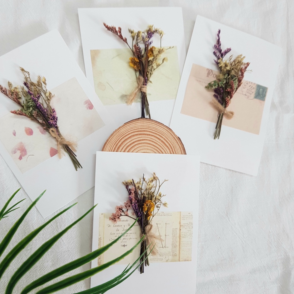 Bìa giấy trang trí hoa khô, Tấm postcard hình vẽ siêu cute, Cuộn giấy retro làm phụ kiện chụp ảnh
