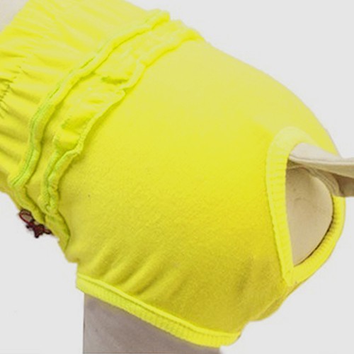 Quần Tã Đáng Yêu Cho Thú Cưng