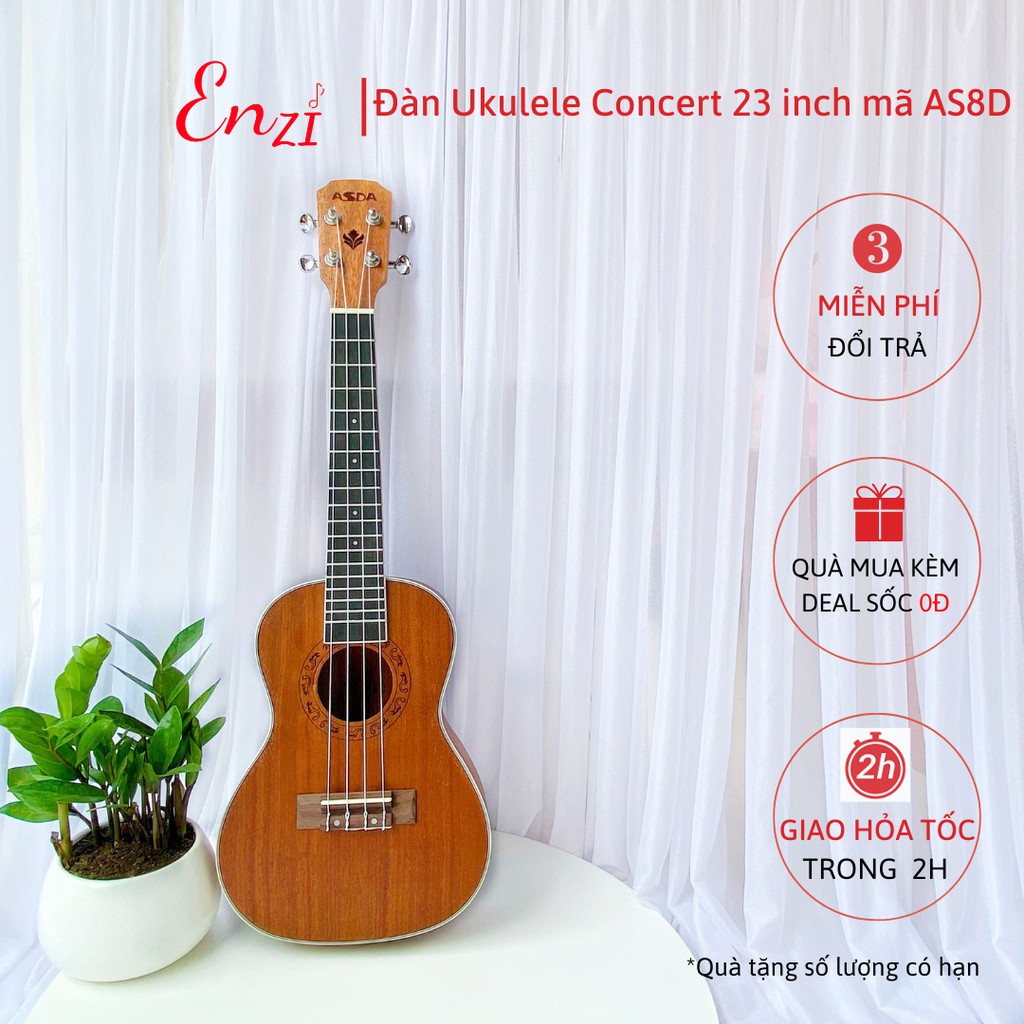 Đàn ukulele concert AS5D Enzi 23 inch gỗ mộc trơn khóa đúc giá rẻ cho bạn mới bắt đầu tập chơi