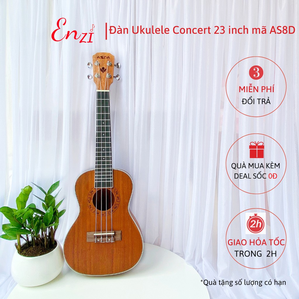 Đàn ukulele concert AS8D Enzi 23 inch gỗ mộc viền tròn khóa đúc giá rẻ cho bạn mới bắt đầu tập chơi