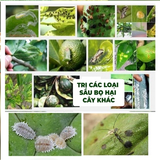 Chế Phẩm Sinh Học BIO-B cao cấp