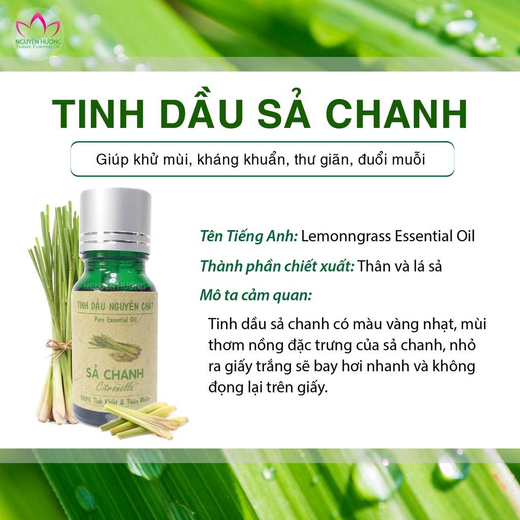 Tinh Dầu Sả Chanh (Lemongrass) – 100% nguyên chất ( Treo xe, Xông thơm phòng ) | Thế Giới Skin Care