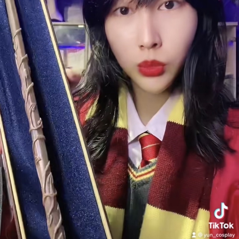 Đũa phép Harry Potter đũa thần phù thủy lõi sắt