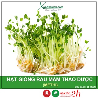 Hạt giống rau mầm thảo dược methi siêu năng suất gói 20 gram