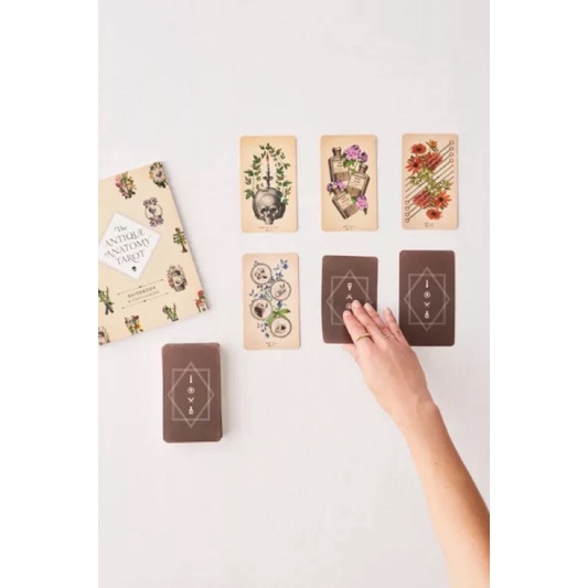 Bộ bài The Antique Anatomy Tarot Kit authentic order Mỹ  for the Modern Reader