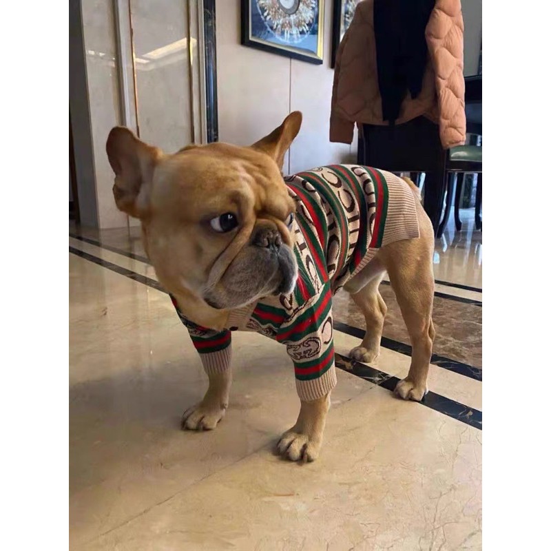 ÁO CARDIGAN GUCCl cho chó mèo