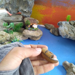 Thuyền trang trí sân vườn