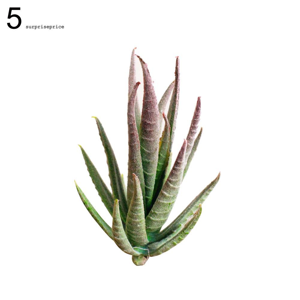 1 Chậu Cây Bonsai Nhân Tạo Mini Trang Trí Bàn Tiệc Cưới