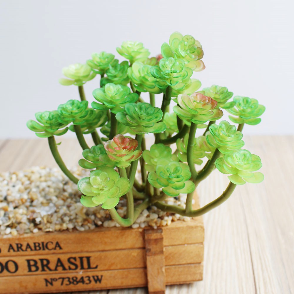 Xương rồng Sen Đá nhựa PVC ms 21