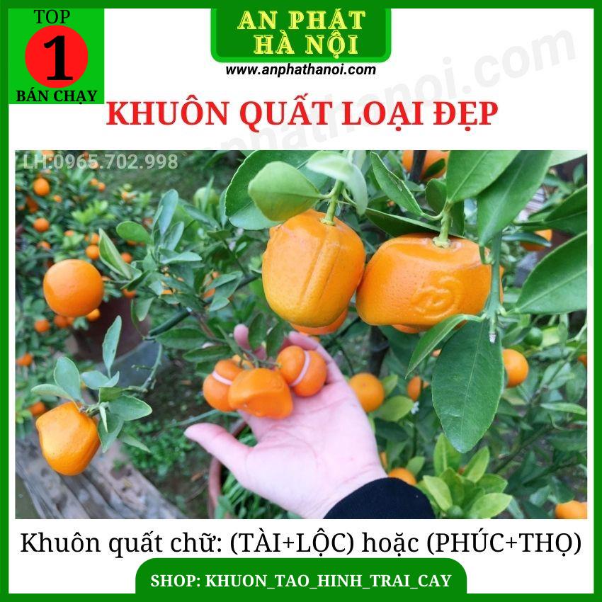 Khuôn Quất hình Thỏi Vàng in chữ Tài Lộc- Khuôn Tạo hình Quất loại đẹp, bền, độc đáo