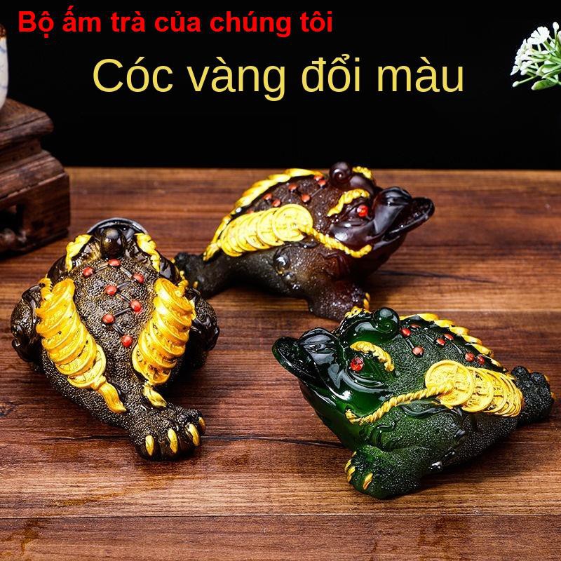 nhà ănĐồ trang trí thú cưng trà đổi màu Cóc vàng may mắn Pixiu có thể nâng cao sáng tạo phun nước phụ kiện bộ