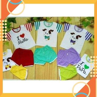 Combo 5 bộ cộc tay cún khuy vai cotton cho bé 3-14kg