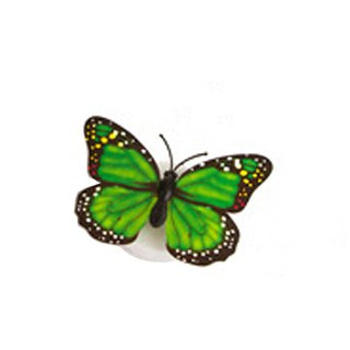 [hatno]( hàng sẵn )Sticker dán tường bướm phát sáng 3D[dochoi]