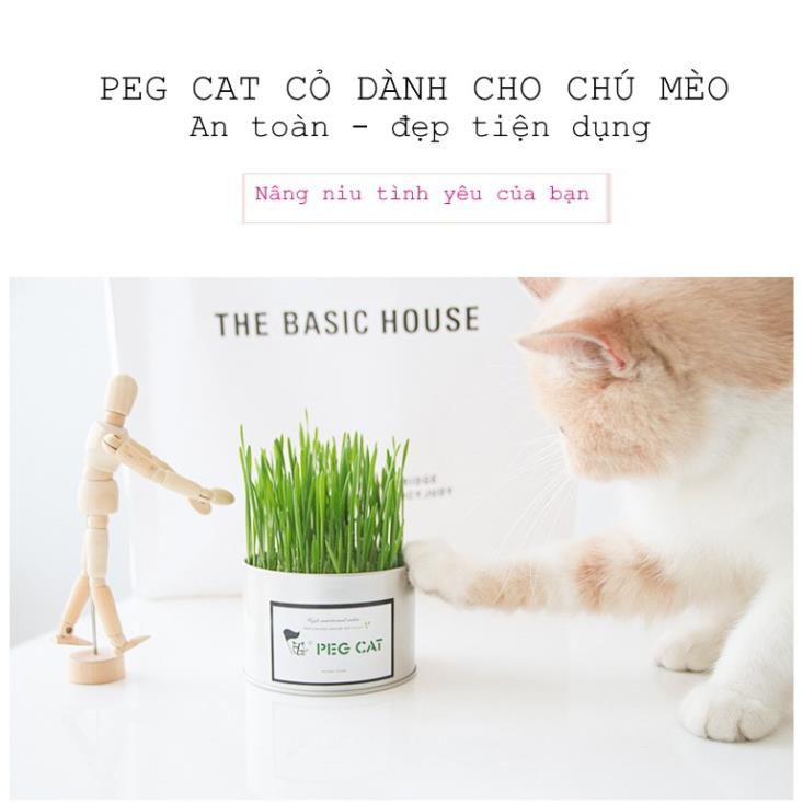 Cỏ mèo tươi. Cỏ nếp dành cho chó mèo 💛FREESHIP💛 Giảm 10K Khi Nhập |THUCANMEO| Thức Ăn Phụ Kiện Cho Thú Cưng