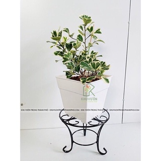 Đôn sắt kê chậu 22x17cm