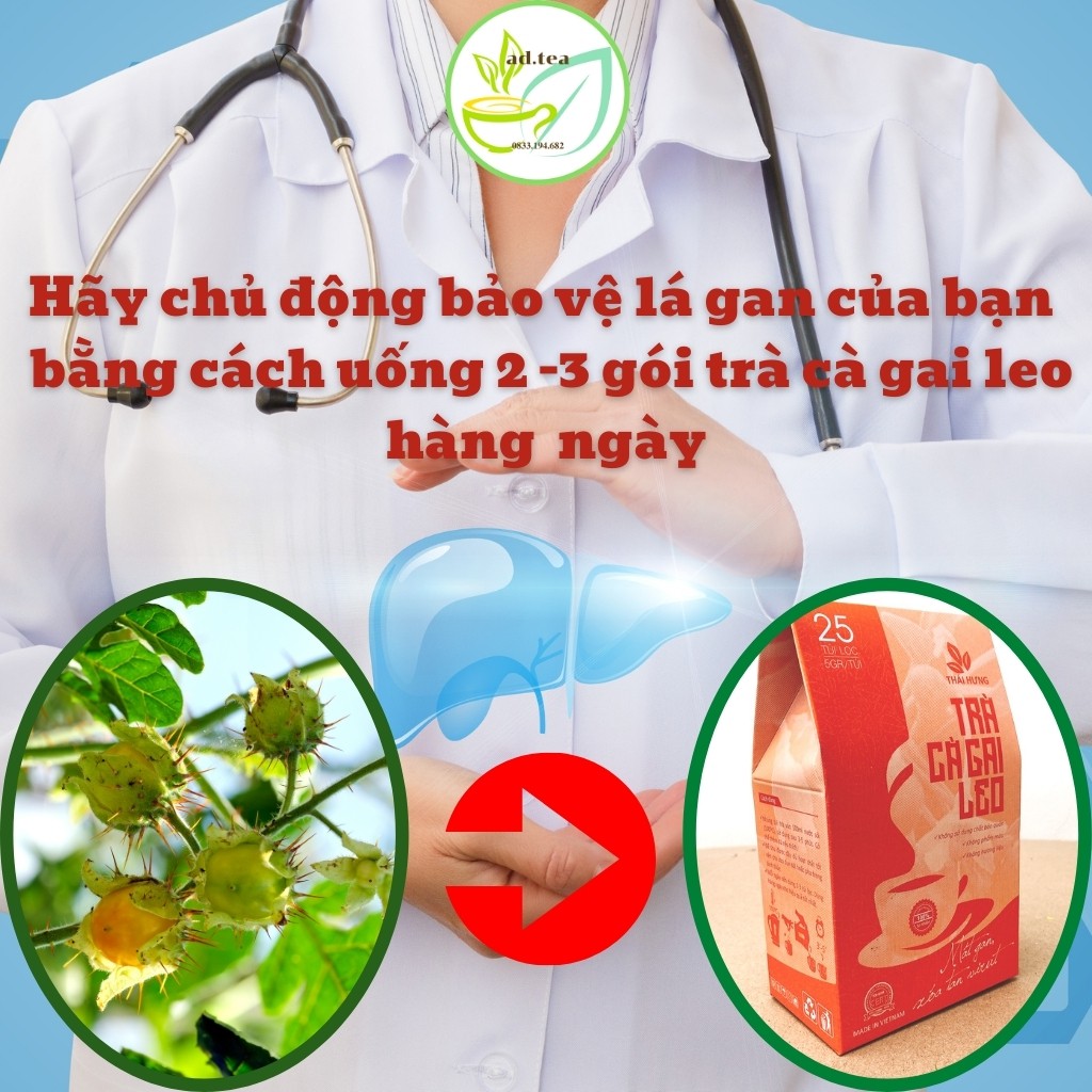 Cà Gai Leo Thái Hưng, Giải Độc Gan, Mát Gan, trà túi lọc thảo dược 25 Túi Lọc 125g Xóa Tan Mụn Nhọt Mẩn Ngứa