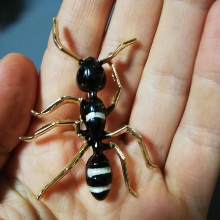 Ghim Cài Áo Hình Con Kiến Màu Đen Cho Nam Và Nữ