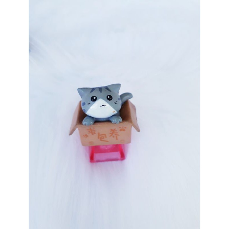 Keycap bé mèo trong hộp (baby cat in box), trang trí bàn phím. | BigBuy360 - bigbuy360.vn