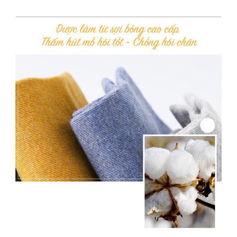 Set 10 Đôi Tất Cổ Ngắn Unisex Đa Sắc Chống Hôi Chân H8 Vitage