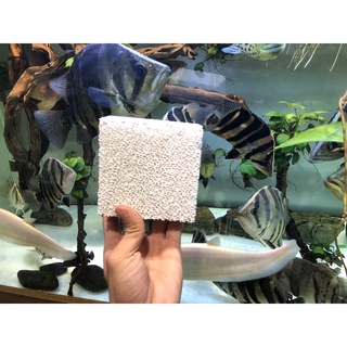 Sứ tàu hũ Ceramic chính hãng loại 1, viên vuông 10x10x5cm lọc nước, loại bỏ amoniac, nitrat bể cá cảnh
