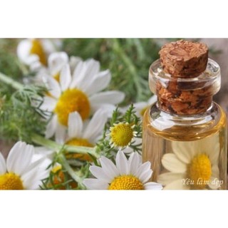 10ml -100ml Chiết xuất Cúc La mã làm mềm, phục hồi tế bào da, nguyên liệu mỹ phẩm