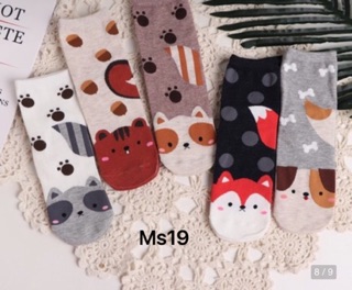 [ Xả Kho ] Combo 5 đôi tất nữ hình siêu kute