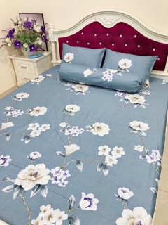 Bộ ga gối cottong lạnh