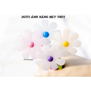 Bút Hoa Cúc La Mã Đổi Màu