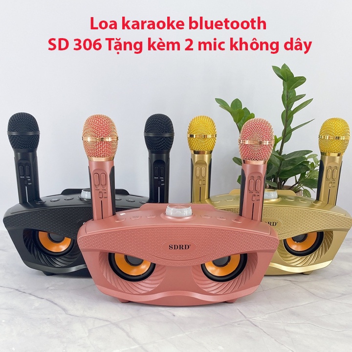 Loa karaoke Bluetooth SDRD 306, Loa bluetooth không dây - Tặng kèm 2 micro hát karaoke, âm thanh tuyệt đỉnh, chất lượng