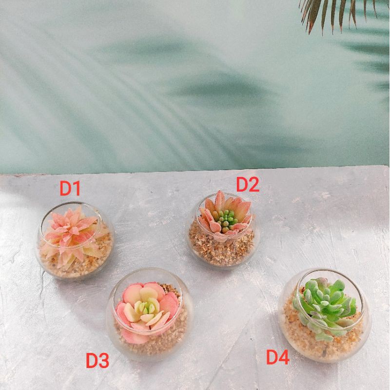 Sen đá giả kèm chậu thủy tinh