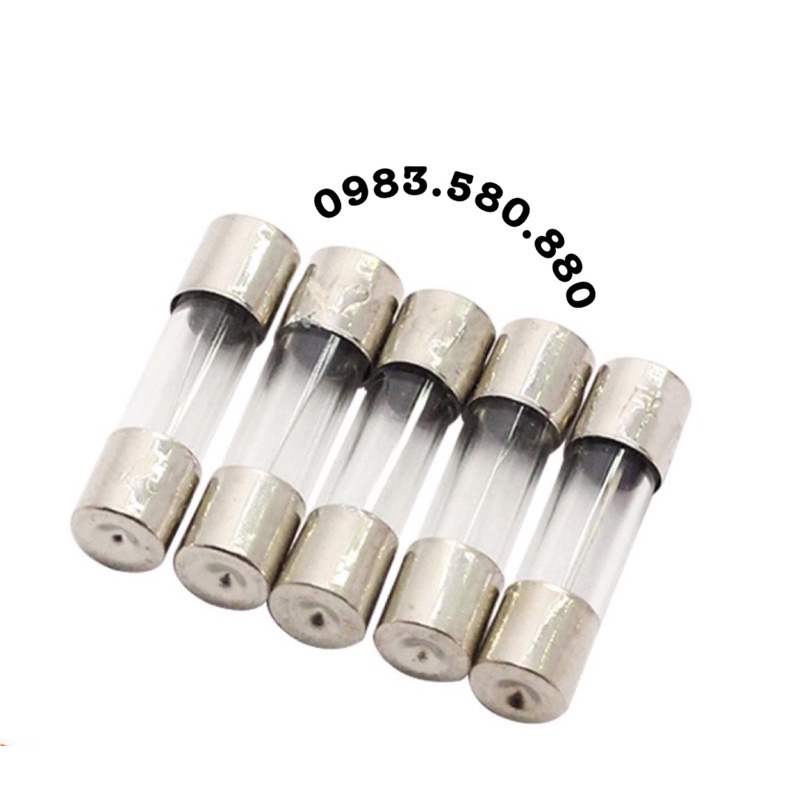 ( 10 Pcs ) CẦU CHÌ ỐNG THUỶ TINH 5x20mm