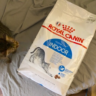 Thức ăn hạt khô cho mèo Royal Canin Indoor gói chiết 1kg
