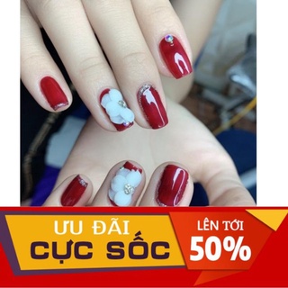 Hoa cúc nhọn - Hoa bột nail