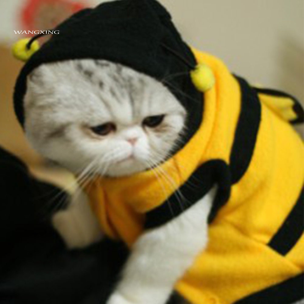 Áo Hoodie Họa Tiết Con Ong Đáng Yêu Cho Thú Cưng