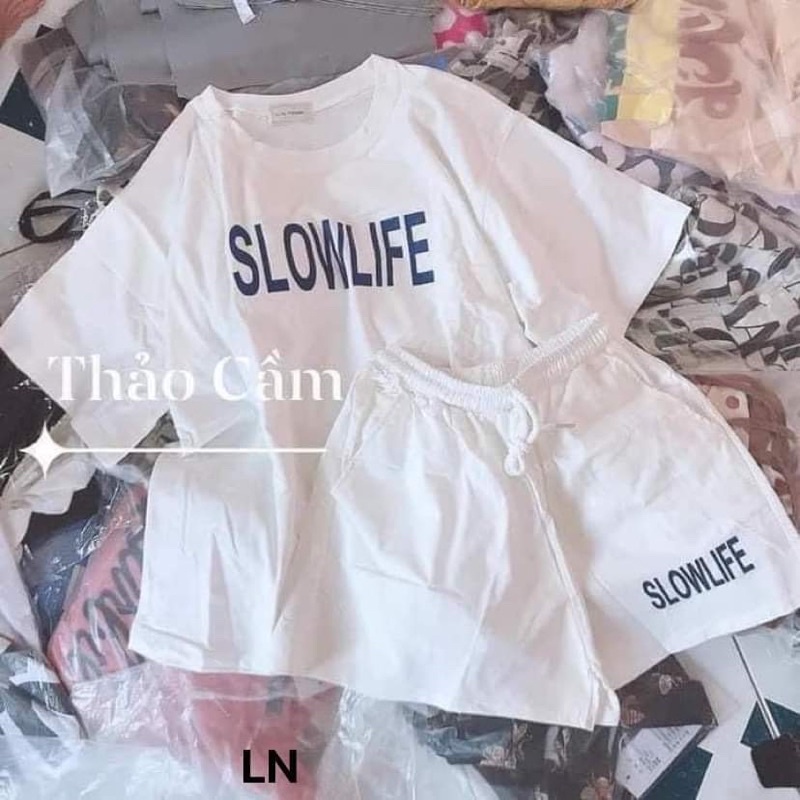 Bộ đùi SLOW LN11