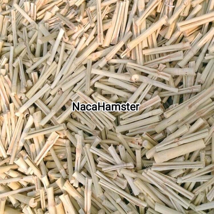 Tre ngọt mài răng hamster, chinchila, bọ ú