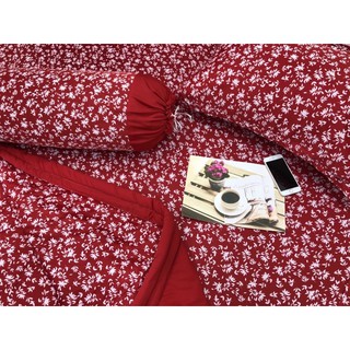 Bộ Drap Thun Hàn Quốc mát lạnh 4 món (Inbox nhiều mẫu lựa chọn)