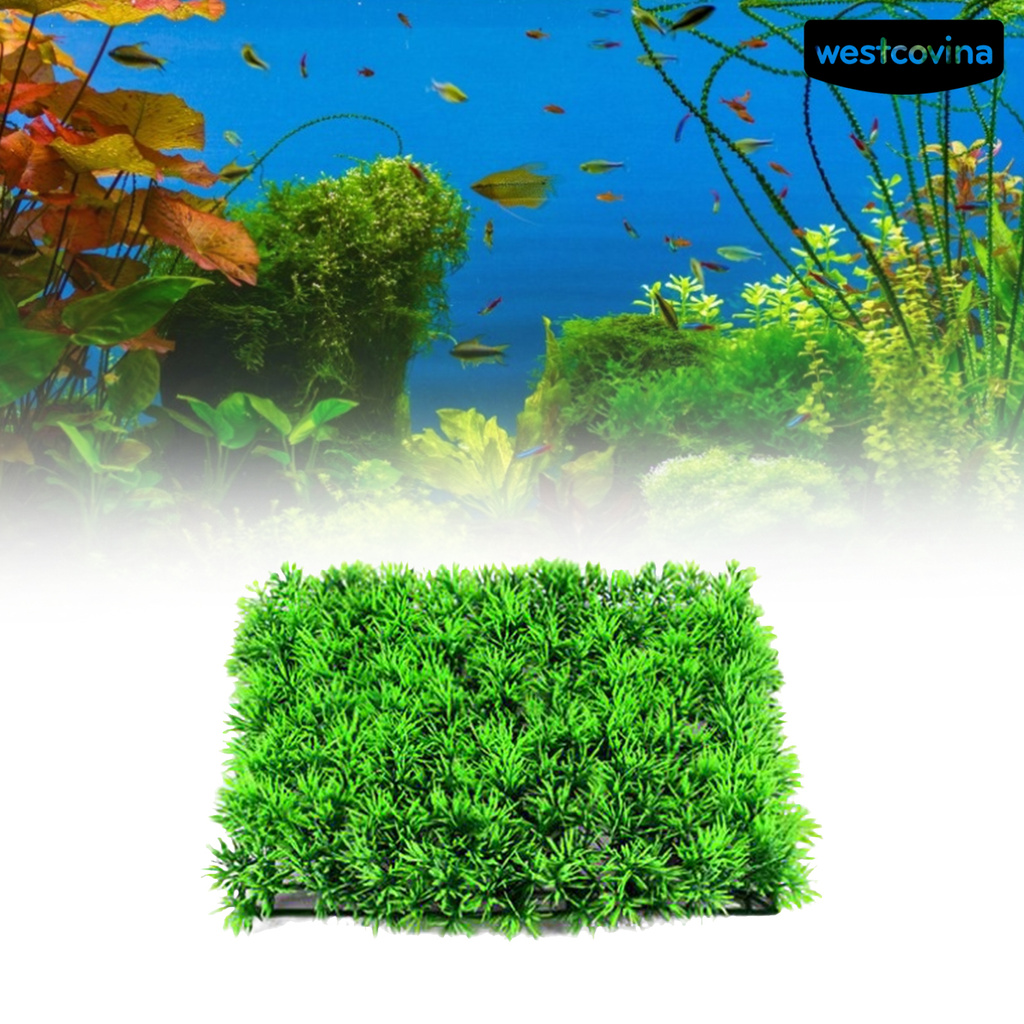Cây Cỏ Nhựa Trang Trí Bể Cá Dễ Sử Dụng