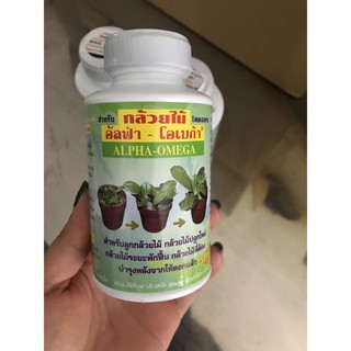 Phân bón lá kích mầm, kích chồi hoa Lan Alpha Thái Lan