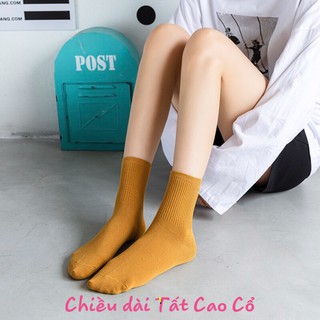 Combo tất cao cổ và mũ nồi