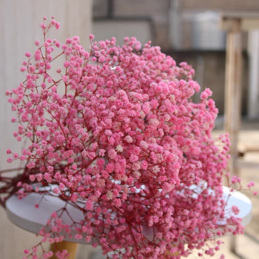 Hoa khô baby tông màu hồng - Hoa khô decor trang trí phòng khách, làm đồ handmade