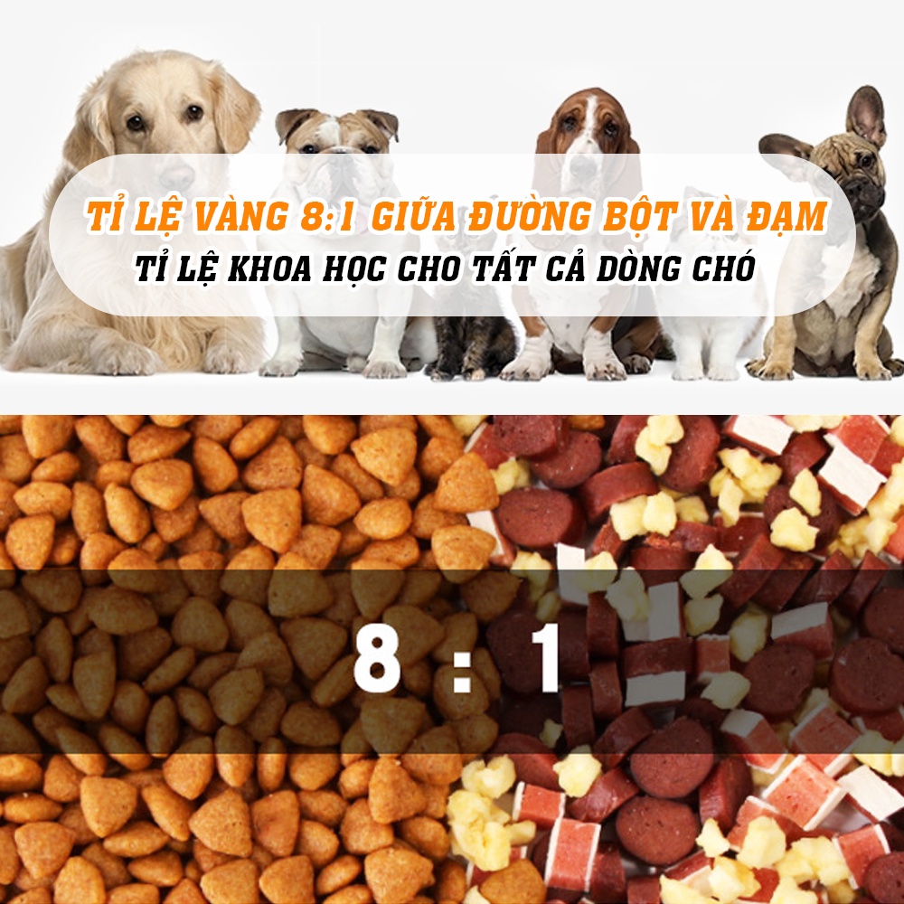 Hạt thức ăn cún cưng Captain 2 loại  trộn lẫn thịt bò, phô mai, cá hồi, rau củ